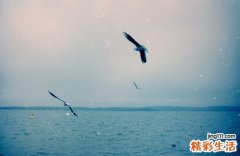 来月经肚子疼腰疼怎么办