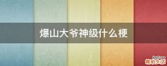 爆山大爷神级什么梗