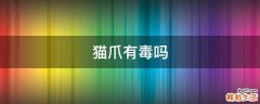 猫爪有毒吗