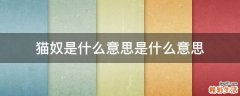 猫奴是什么意思是什么意思