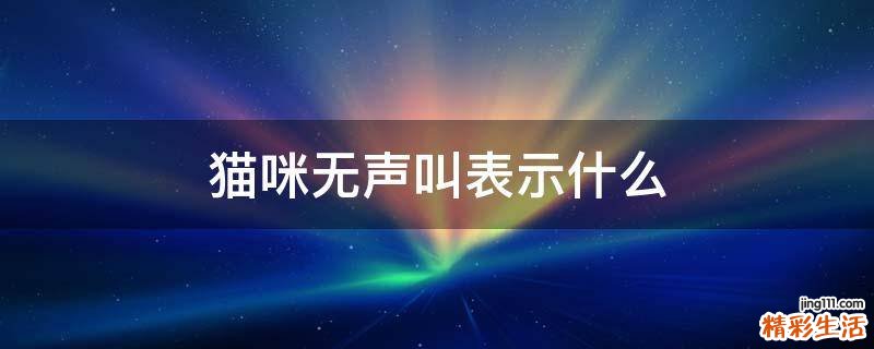 猫咪无声叫表示什么