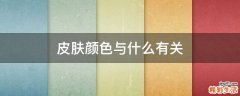 皮肤颜色与什么有关