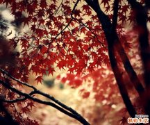 【工作压力与绩效关系】工作压力如何影响绩效