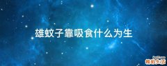 雄蚊子靠吸食什么为生