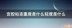 宫腔粘连重度是什么轻度是什么