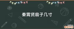 秦霄贤扇子几寸
