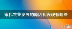 宋代农业发展的原因和表现有哪些