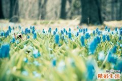 上海女同胞，癌症早预防 视频