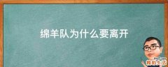 綿羊隊為什么要離開
