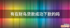 有在财鸟贷款成功下款的吗