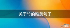 关于竹的唯美句子