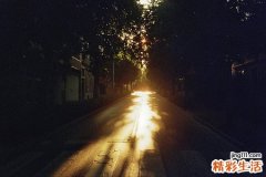 体虚怎样调理