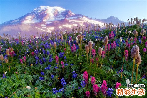 咽炎可以喝胖大海吗