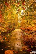 上班累吃什么有营养