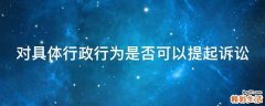 对具体行政行为是否可以提起诉讼