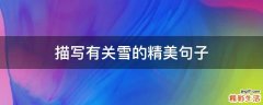 描寫有關(guān)雪的精美句子