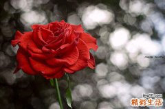 脓胸该如何诊断