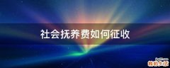 社会抚养费如何征收