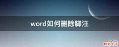 word如何删除脚注