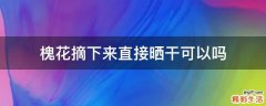 槐花摘下来直接晒干可以吗