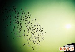 家庭主妇需知 油烟诱发肺癌