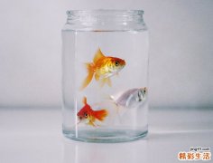 不能忽视的“共同性斜视”