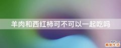 羊肉和西红柿可不可以一起吃吗