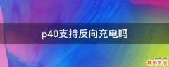 p40支持反向充电吗