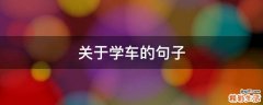 关于学车的句子