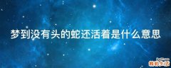 梦到没有头的蛇还活着是什么意思