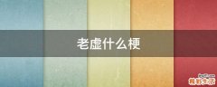 老虚什么梗