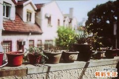 3 核桃的營養(yǎng)價值