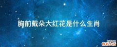 胸前戴朵大红花是什么生肖