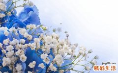 【男人好色的最根本原因】男人为什么好色？