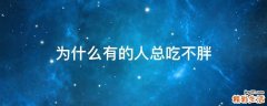 为什么有的人总吃不胖
