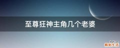 至尊狂神主角几个老婆