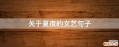 关于夏夜的文艺句子