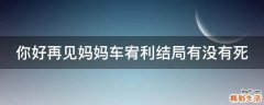 你好再见妈妈车宥利结局有没有死