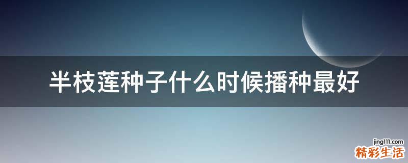 半枝莲种子什么时候播种最好