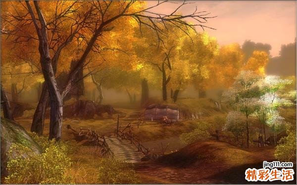 青光眼的早期症状有哪些？