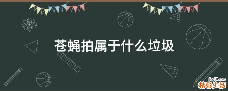 苍蝇拍属于什么垃圾