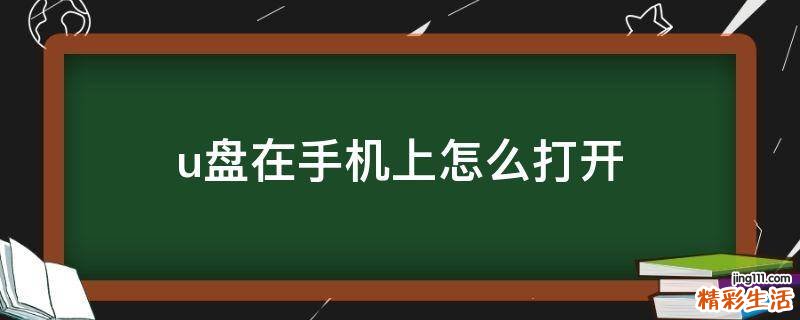 u盘在手机上怎么打开