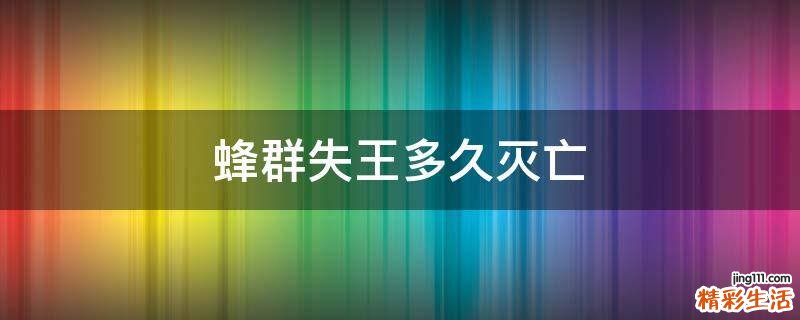蜂群失王多久灭亡
