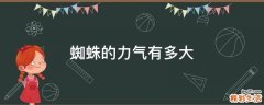 蜘蛛的力气有多大