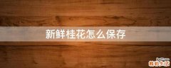 新鲜桂花怎么保存
