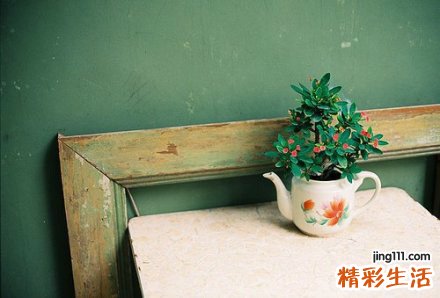 3 胡萝卜的营养分析