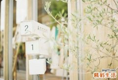 三種晚餐天天吃等于“自殺”