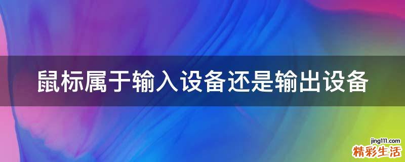 鼠标属于输入设备还是输出设备