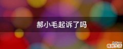 郝小毛起诉了吗