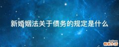 新婚姻法关于债务的规定是什么